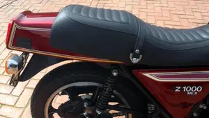 Kawasaki   (18)