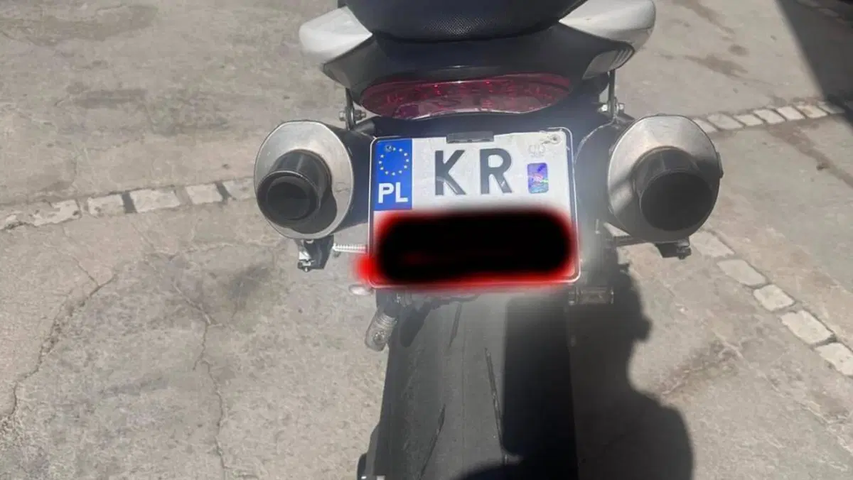 Triumph Speed Triple 1050 (2011 - 13)  (10)