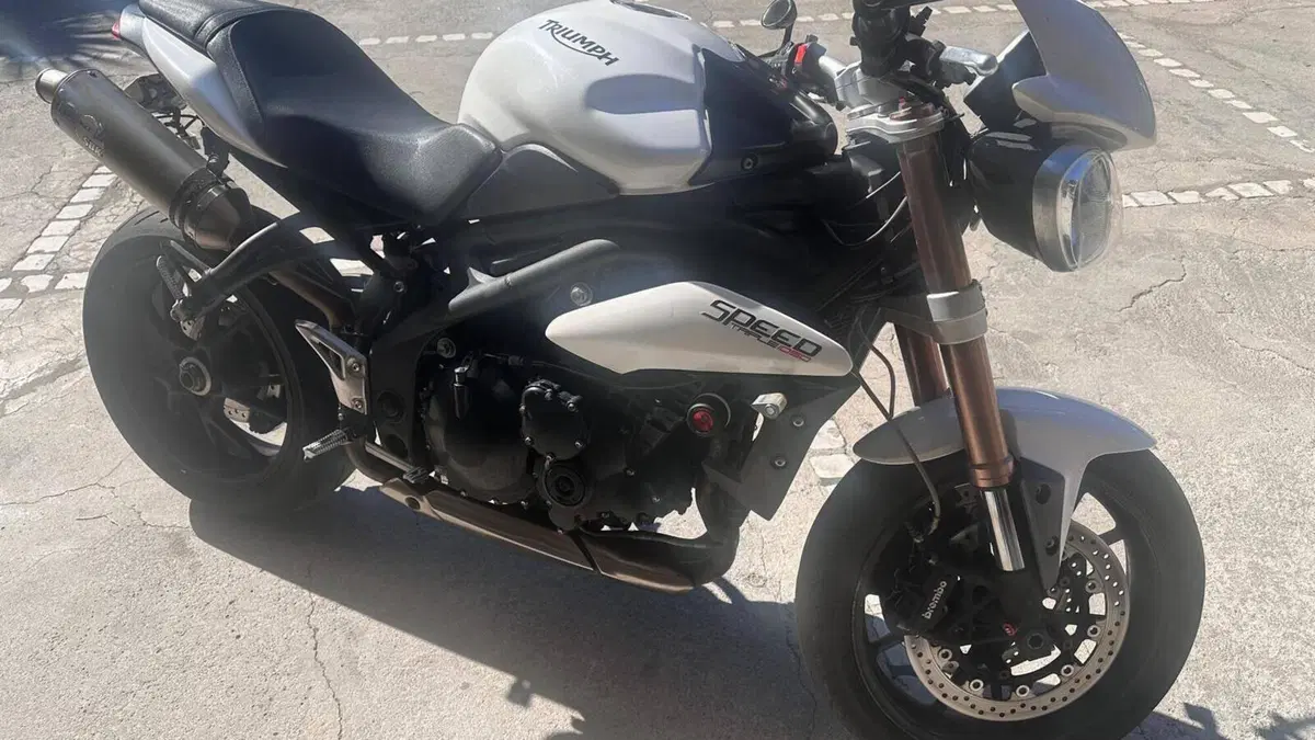 Triumph Speed Triple 1050 (2011 - 13)  (3)