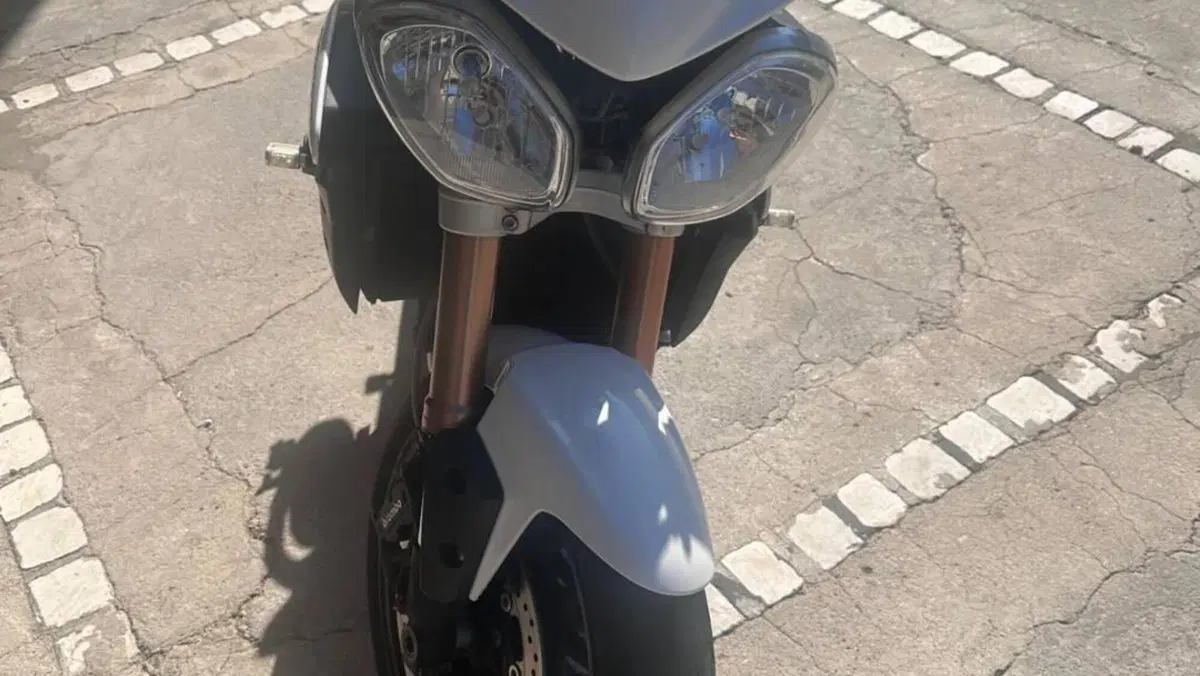 Triumph Speed Triple 1050 (2011 - 13)  (4)