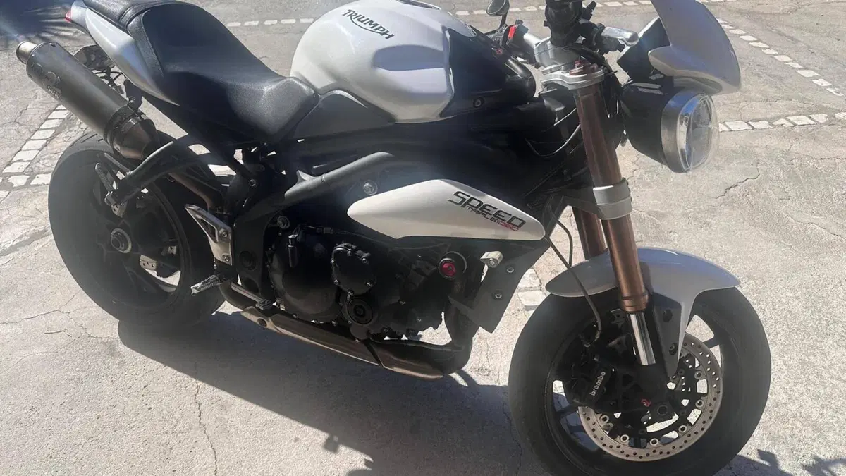 Triumph Speed Triple 1050 (2011 - 13) 