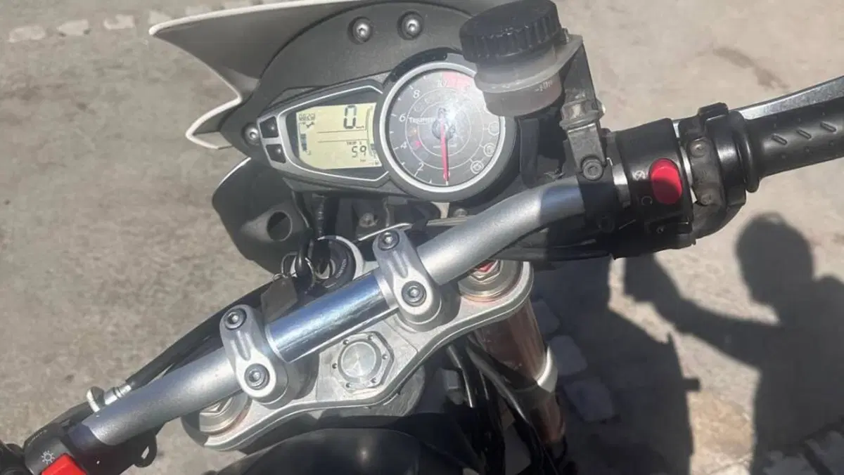 Triumph Speed Triple 1050 (2011 - 13)  (8)