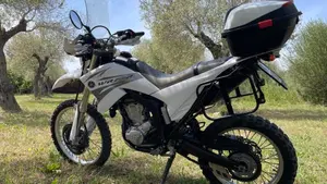 Yamaha WR 250 R (2008 - 13)  (19)