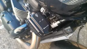 Triumph Bonneville T100 (2021 - 25)  (2)