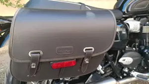 Triumph Bonneville T100 (2021 - 25)  (3)