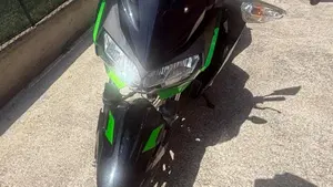 Kawasaki Z 400 (2023) 