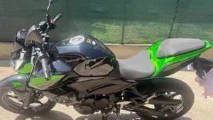 Kawasaki Z 400 (2023)  (3)