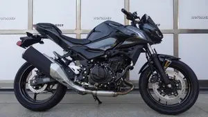 Kawasaki Z 500 (2024 - 26)  (2)