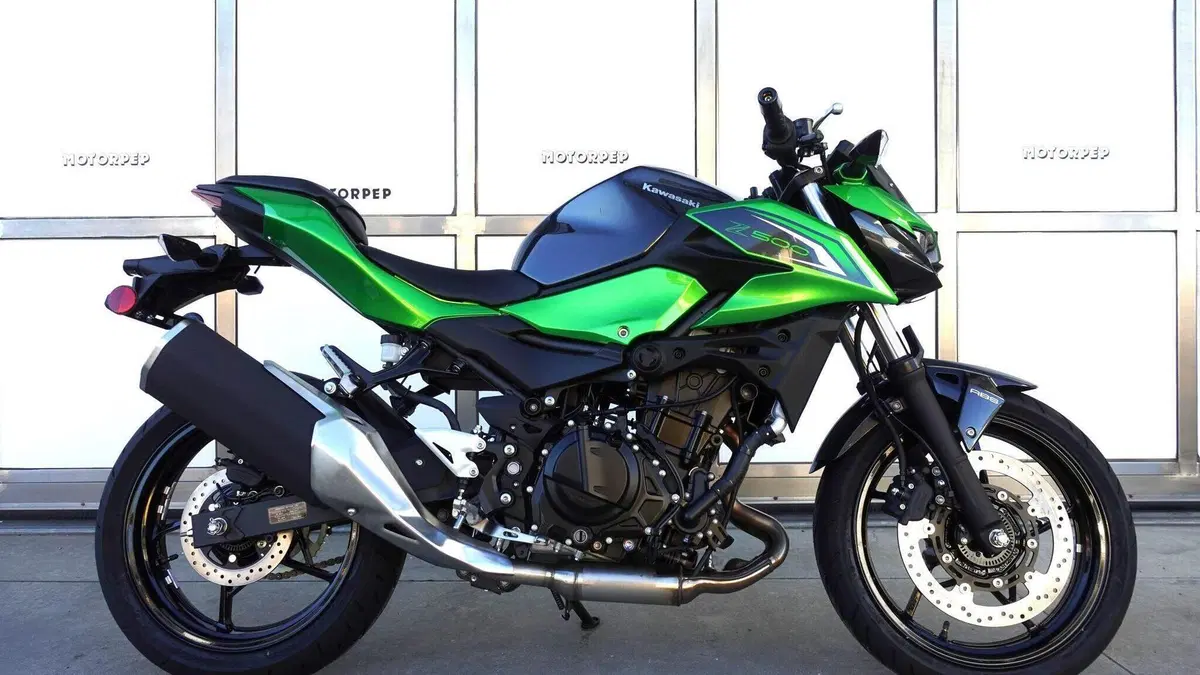 Kawasaki Z 500 (2024 - 26)  (4)