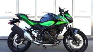 Kawasaki Z 500 (2024 - 26)  (4)