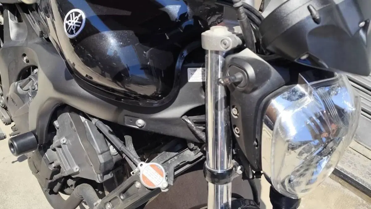 Yamaha FZ6 S2 (2007 - 11)  (4)