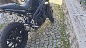 Triumph Speed Triple 1050 (2005 - 11)  (4)