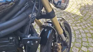 Triumph Speed Triple 1050 (2005 - 11)  (7)