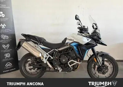 Triumph Tiger 900 Alpine Special Edition (2026) - Annuncio 9994594