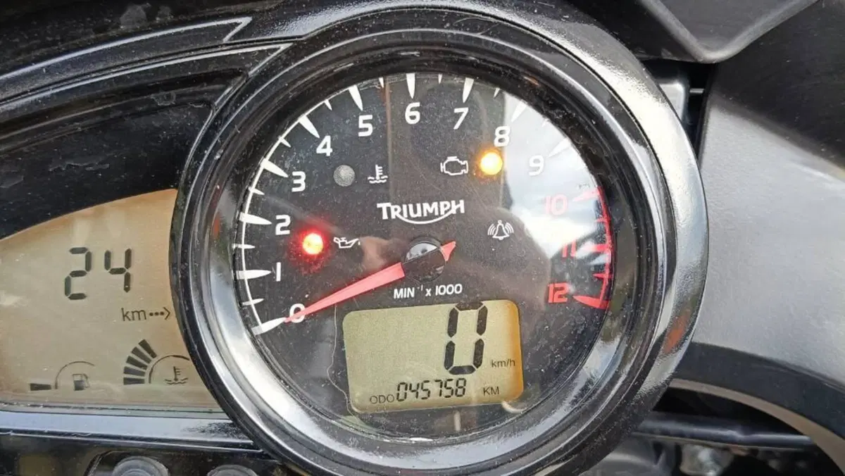 Triumph Tiger 1050 (2006 - 12)  (5)