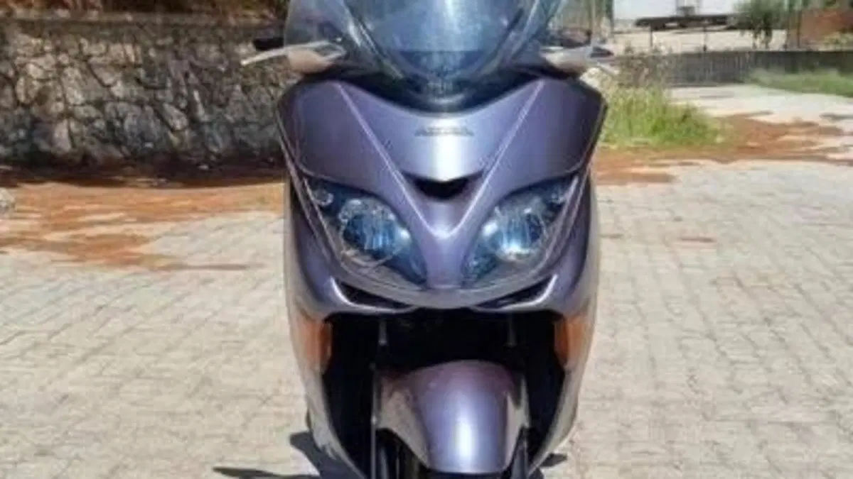 Honda Forza 250 X (2005 - 07)  (5)