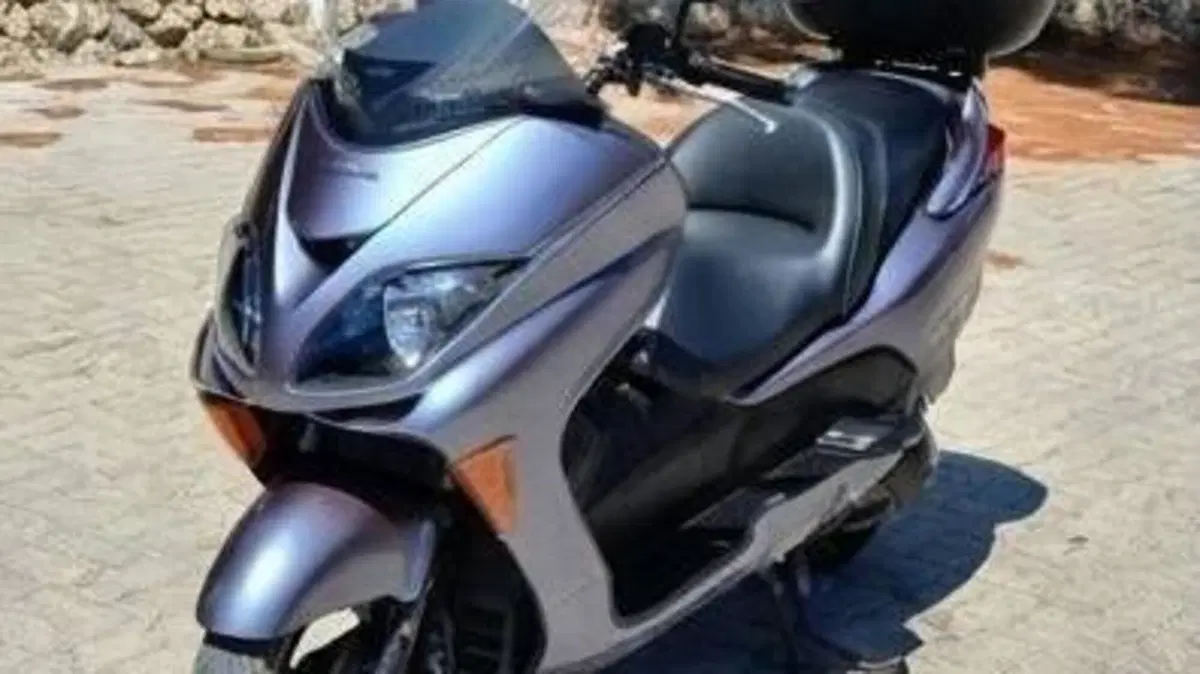 Honda Forza 250 X (2005 - 07) 