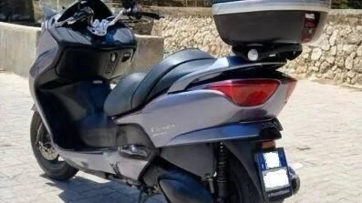 Honda Forza 250 X (2005 - 07)  (2)