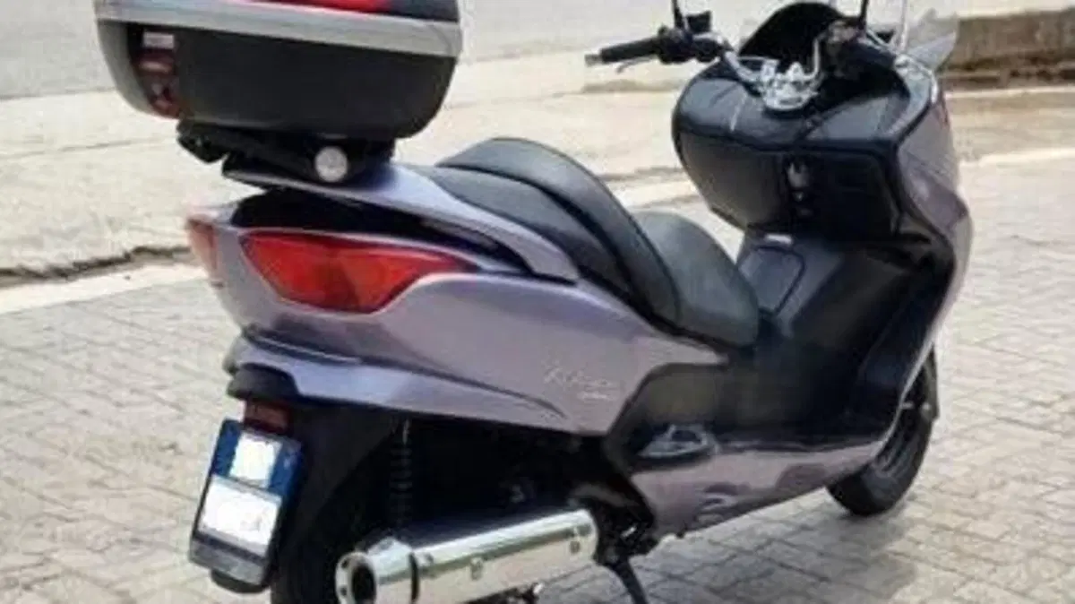 Honda Forza 250 X (2005 - 07)  (3)