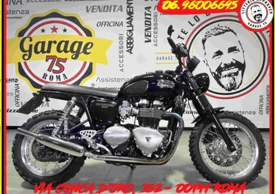Triumph Thruxton 900 (2004 - 15) - Annuncio 10022846