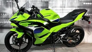 Kawasaki Ninja 500 SE (2024 - 26)  (6)