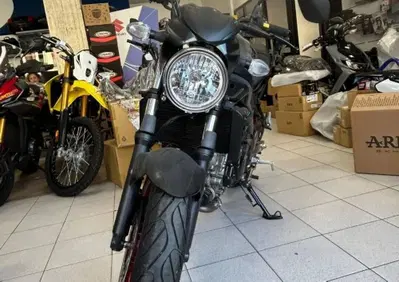 Suzuki SV650 (2021 - 24) - Annuncio 10013622