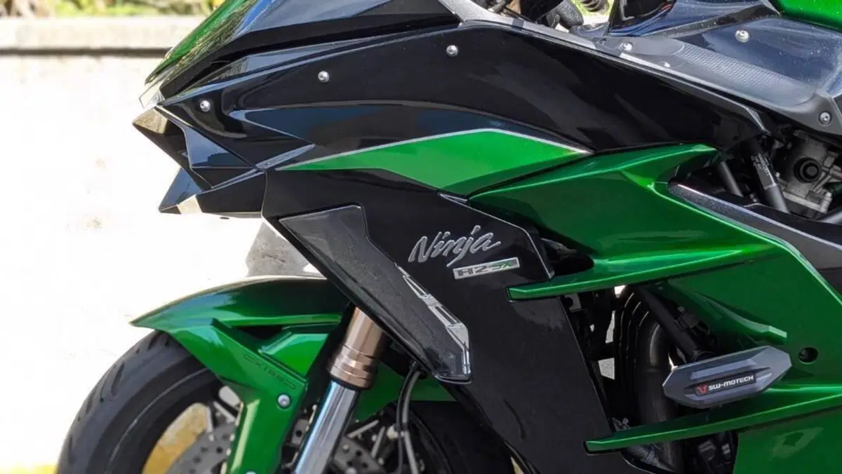 Kawasaki Ninja H2 SX Tourer (2019 - 20)  (3)