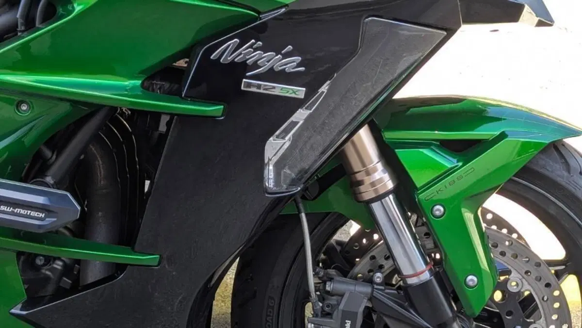 Kawasaki Ninja H2 SX Tourer (2019 - 20)  (4)