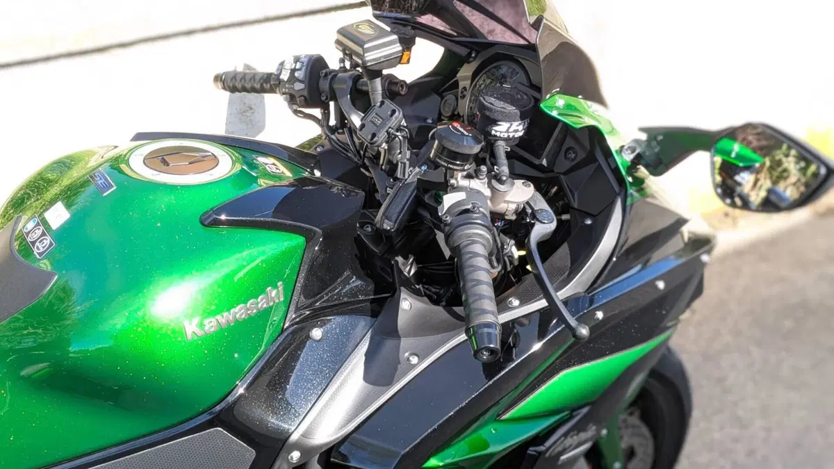 Kawasaki Ninja H2 SX Tourer (2019 - 20)  (5)