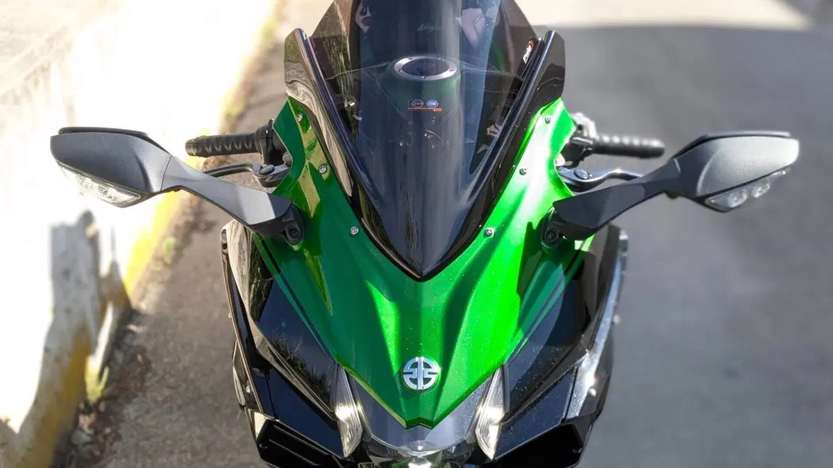 Kawasaki Ninja H2 SX Tourer (2019 - 20)  (9)