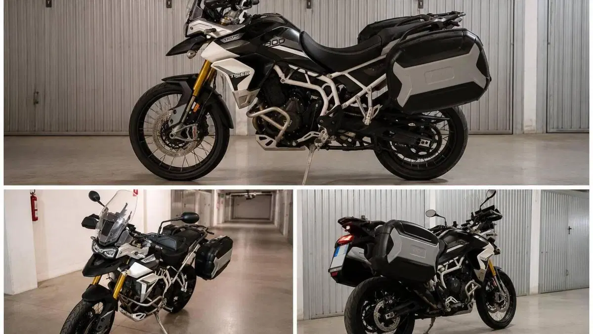 Triumph Tiger 900 Rally Pro (2020 - 23) 