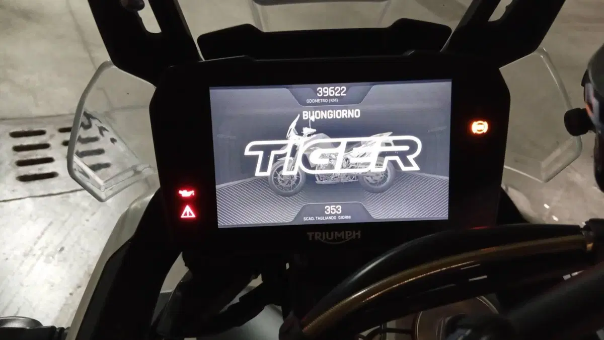 Triumph Tiger 900 Rally Pro (2020 - 23)  (9)