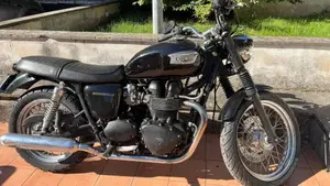 Triumph   (4)