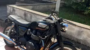 Triumph   (5)