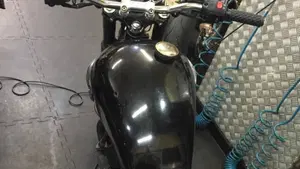 Triumph   (2)