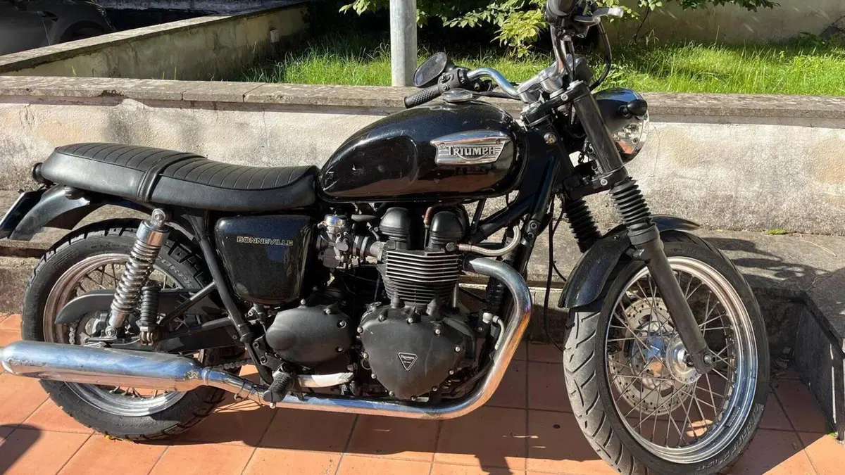 Triumph   (4)