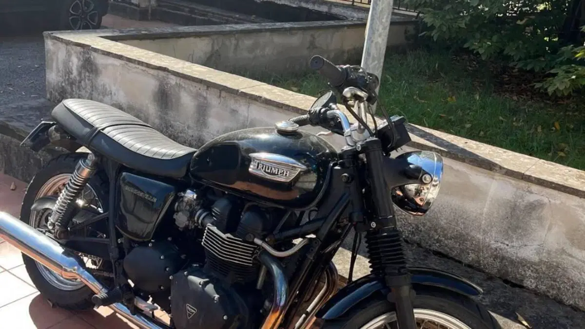 Triumph   (5)