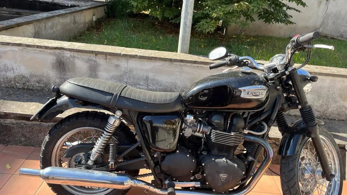 Triumph   (6)