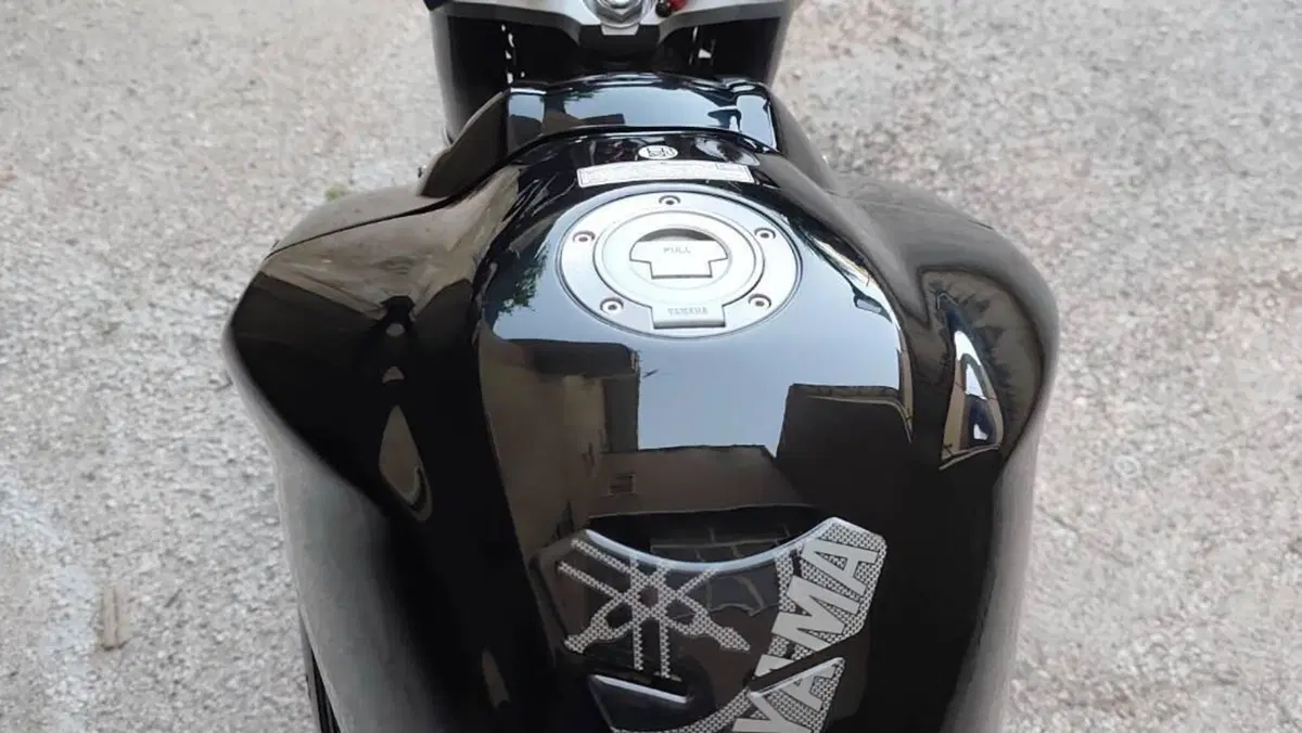 Yamaha FZ1 (2006 - 16)  (6)