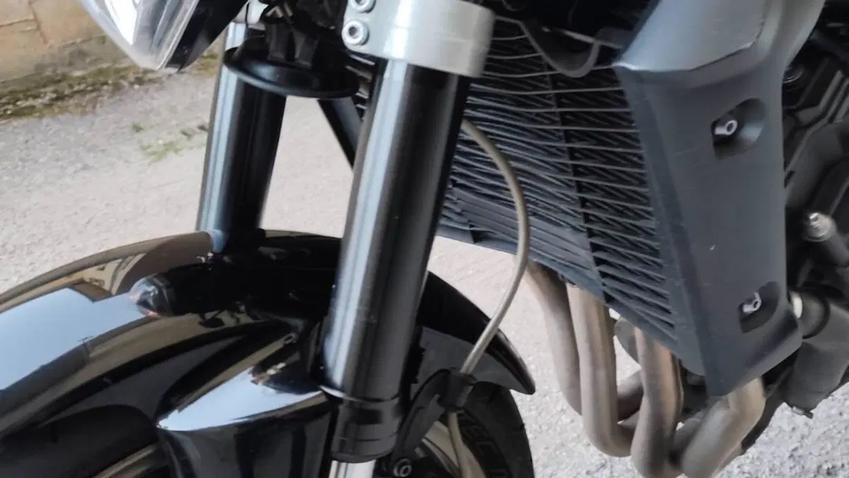 Yamaha FZ1 (2006 - 16)  (7)