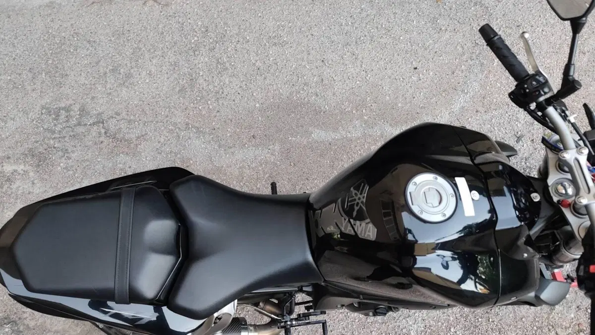 Yamaha FZ1 (2006 - 16)  (17)