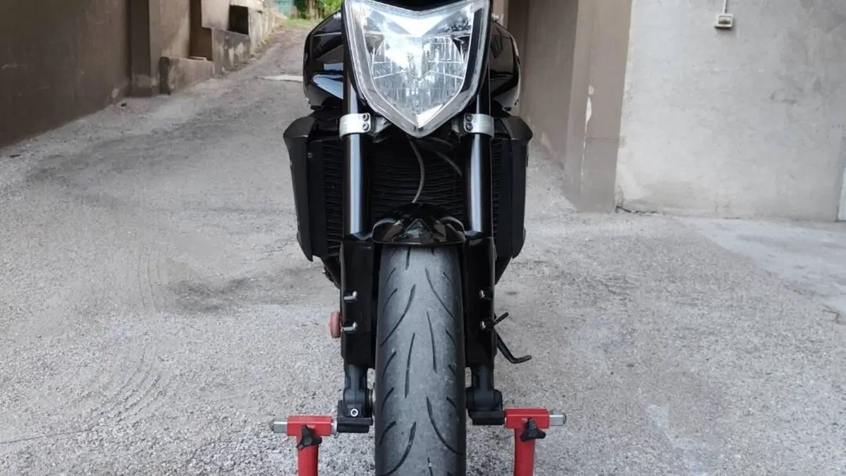 Yamaha FZ1 (2006 - 16) 