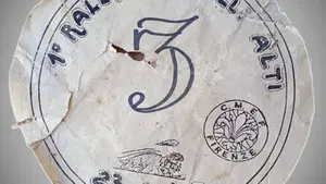 Motom   (14)