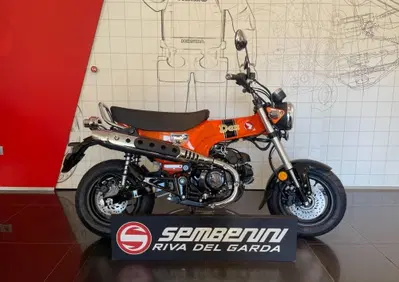 Honda Dax 125 (2025 - 26) - Annuncio 10023153