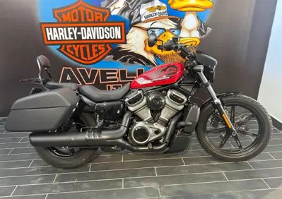 Harley-Davidson Nightster (2023 - 26) - Annuncio 10023164