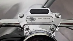 Harley-Davidson 883 Custom (2001 - 05) - XL 53C  (4)