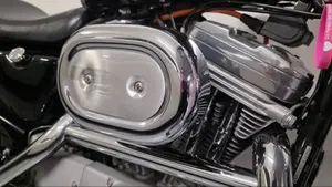 Harley-Davidson 883 Custom (2001 - 05) - XL 53C  (5)