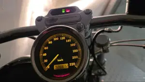 Harley-Davidson 883 Custom (2001 - 05) - XL 53C  (6)