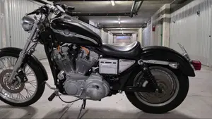 Harley-Davidson 883 Custom (2001 - 05) - XL 53C  (8)