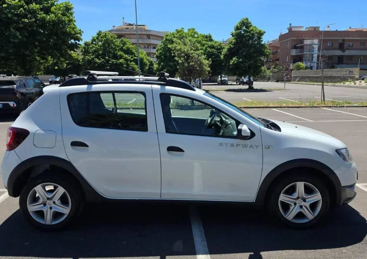 Dacia Sandero Stepway 1.5 dCi 8V 90CV Start&Stop (3)